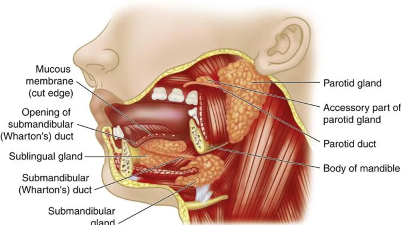 The connection between pharyngeal mucous membranes and bad breath