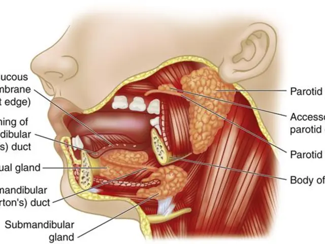 The connection between pharyngeal mucous membranes and bad breath