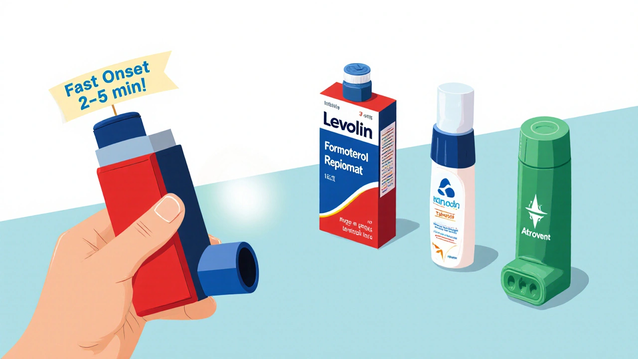 Levolin Inhaler vs Other Rescue Inhalers: Levosalbutamol Comparison
