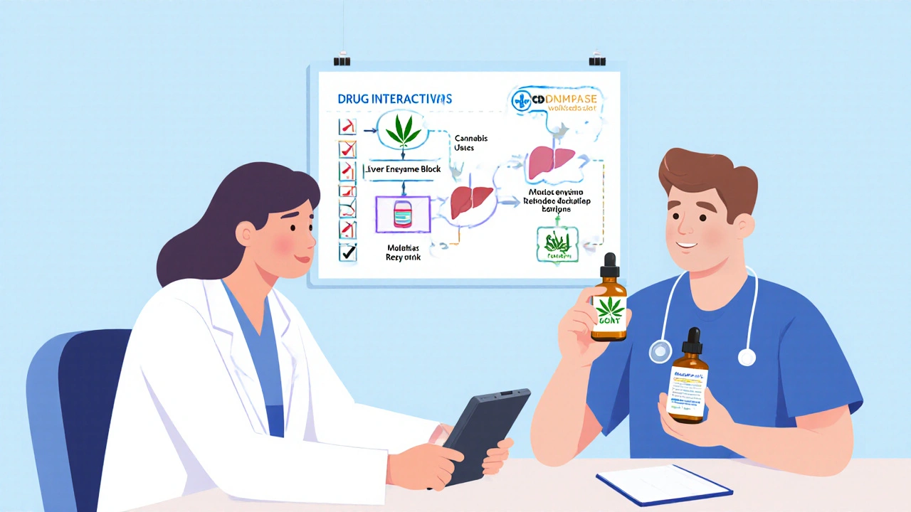 Doctor and patient reviewing cannabis-medication interaction checklist together