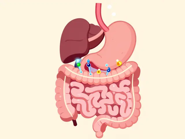 Digestive Enzymes: When Supplements May Help GI Symptoms