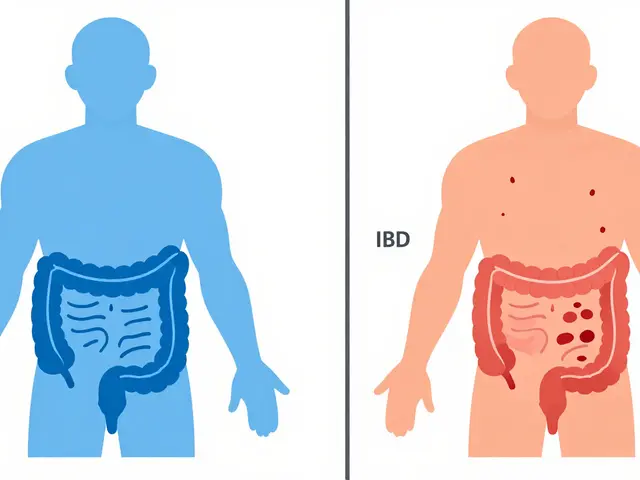 IBS vs. IBD: Understanding the Difference Between Functional and Inflammatory Bowel Disorders