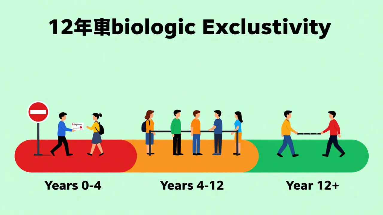 Infographic-style flat art showing the 12-year timeline for biosimilar market entry.